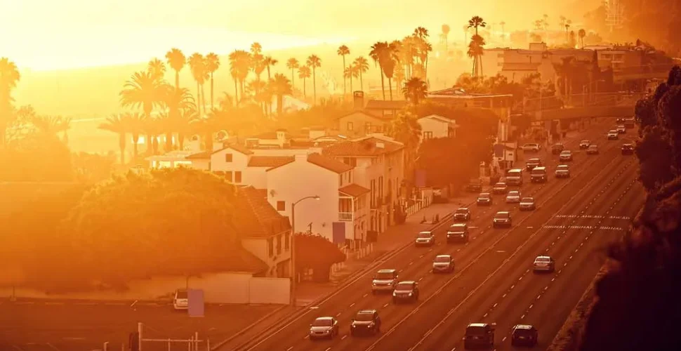 9 Santa Monica Hotels that have that LA feel