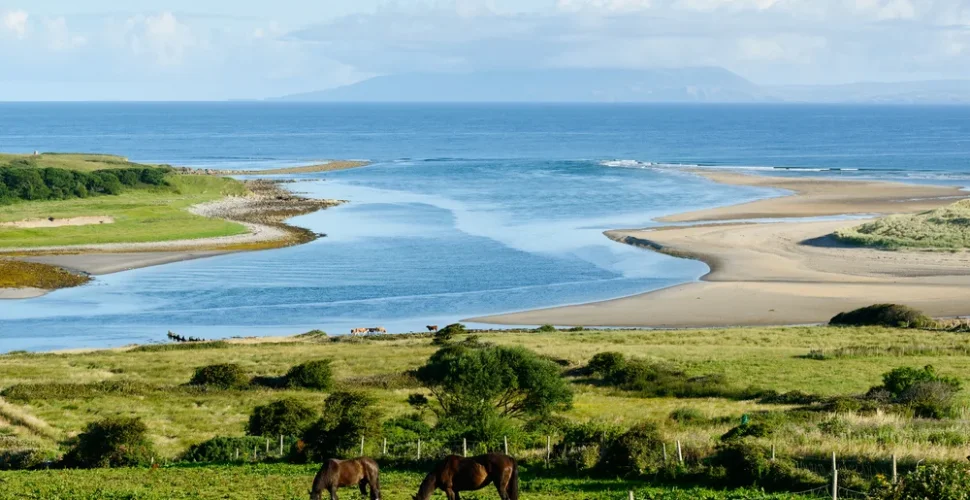 Wild ocean, medieval castles and green meadows – The Wild Atlantic Way in Ireland